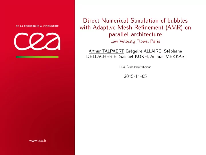 direct numerical simulation of bubbles with adaptive mesh