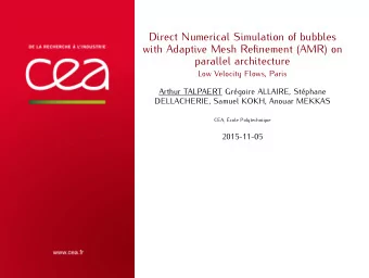 Direct Numerical Simulation of bubbles  with Adaptive Mesh Refinement (AMR) on  parallel