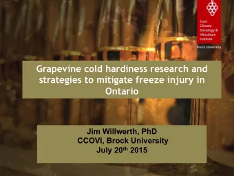 Grapevine cold hardiness research and  strategies to mitigate freeze injury in  Ontario  Jim