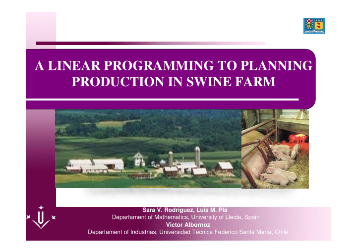 a linear programming to planning production in swine farm