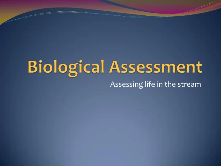 assessing life in the stream aquatic plants