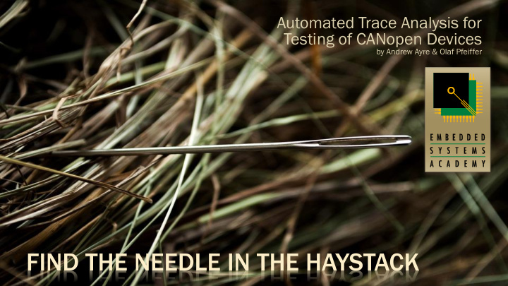 find the needle in the haystack