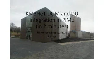integration in PiMu  (in 2 minutes)  Nikhef Stafoverleg 9/3/2020  R. Bruijn  Activities :    DOM