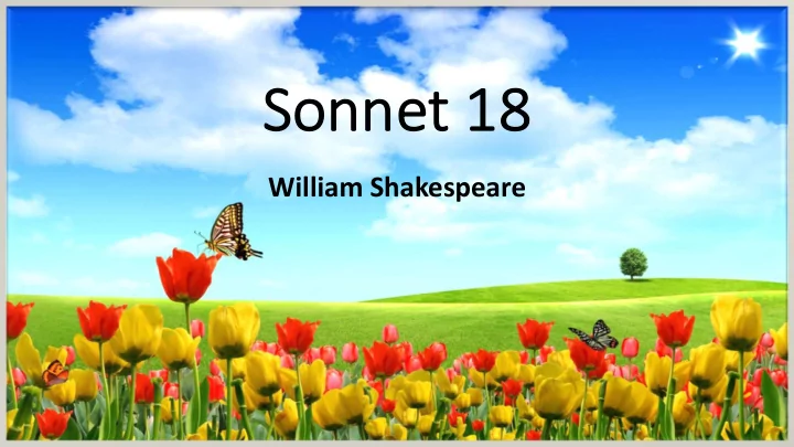 so sonne nnet 18