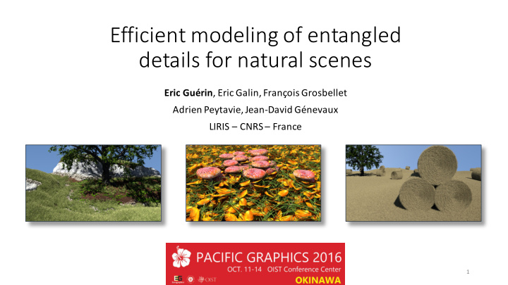 efficient modeling of entangled details for natural scenes