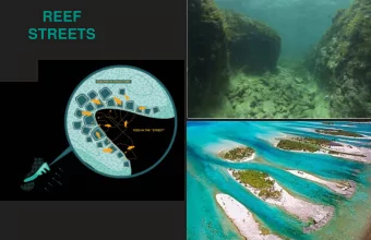 REEF  STREETS  BIO-ENHANCING CONCRETE  BIO-ENHANCING CONCRETE ARMOR UNITS TIDE POOLS  STATISTICAL