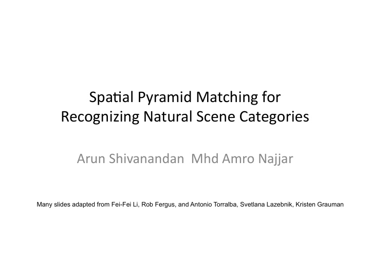 spa al pyramid matching for recognizing natural scene