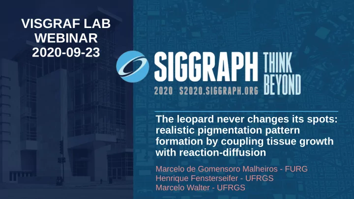 visgraf lab webinar 2020 09 23