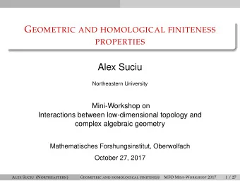 Alex Suciu  Northeastern University  Mini-Workshop on  Interactions between low-dimensional