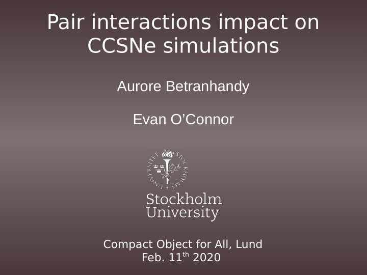 pair interactions impact on ccsne simulations
