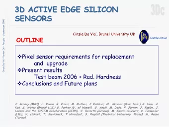 3D ACTIVE EDGE SILICON  3D ACTIVE EDGE SILICON  SENSORS  SENSORS  Cinzia Da Via- Vertex 06 -