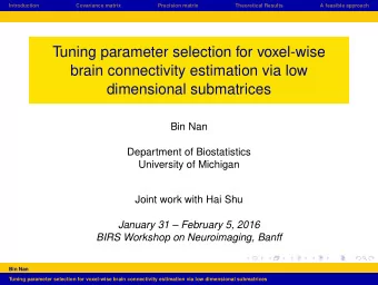 Tuning parameter selection for voxel-wise  brain connectivity estimation via low  dimensional