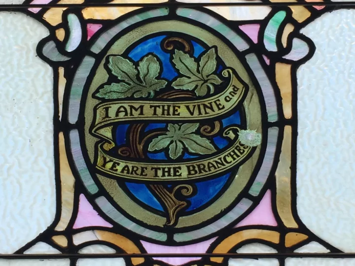 i am the the tr true ue vine john 15 ohn 15 identity