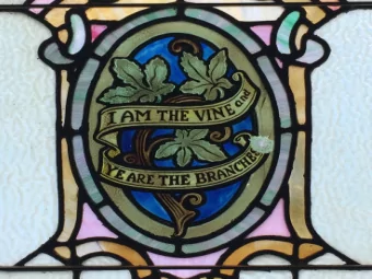 I am  the  the  TR  TRUE  UE Vine.  John 15  ohn 15  Identity Crisis  John 15:12-17  12