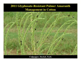 2011 Glyphosate-Resistant Palmer Amaranth  Management in Cotton  Culpepper, Steckel, York  GR