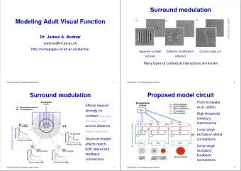 Surround modulation  (Series et al. 2003)  Modeling Adult Visual Function  Dr. James A. Bednar