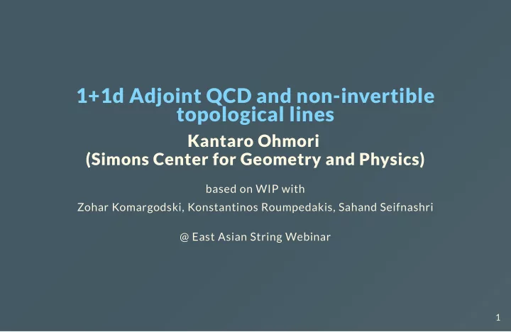 1 1d adjoint qcd and non invertible topological lines