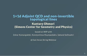 1+1d Adjoint QCD and non-invertible  topological lines  Kantaro Ohmori  (Simons Center for Geometry