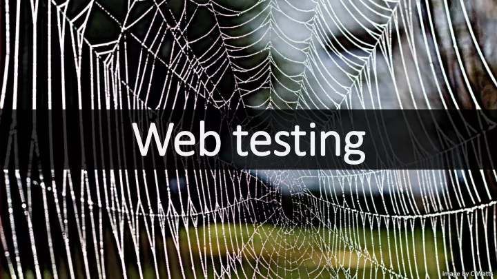 web testing