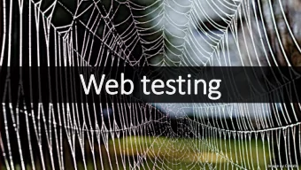 Web testing  Image by C Watts  What is web testing? Testing web applications  Applications of which