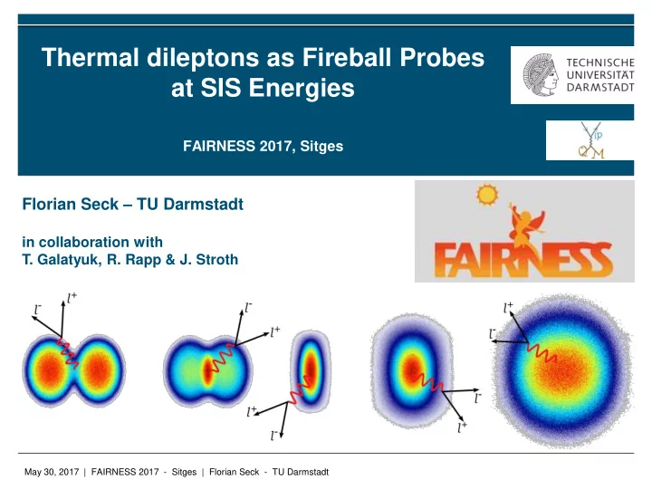 electromagnetic probes in heavy ion collisions