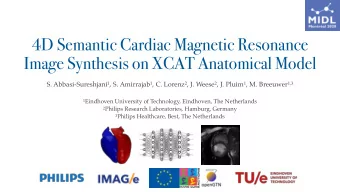 4D Semantic Cardiac Magnetic Resonance Image Synthesis on XCAT Anatomical Model S.