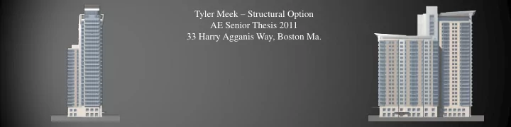 tyler meek structural option