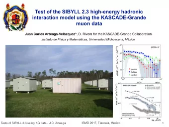 Test of the SIBYLL 2.3 high-energy hadronic  interaction model using the KASCADE-Grande  muon data