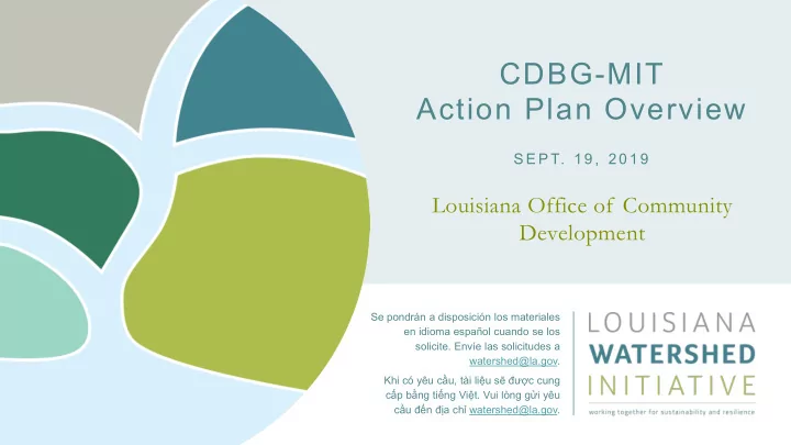 cdbg mit action plan overview