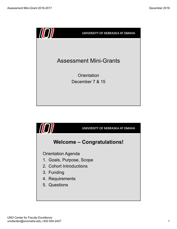 assessment mini grants