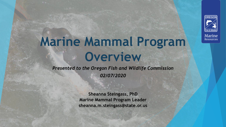 marine mammal program
