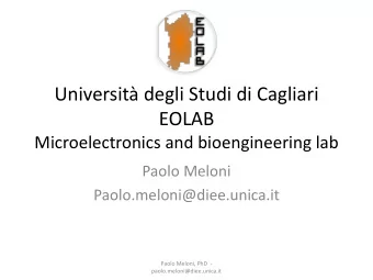 EOLAB  Microelectronics and bioengineering lab  Paolo Meloni  Paolo.meloni@diee.unica.it  Paolo