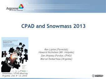 CPAD and Snowmass 2013  Ron Lipton (Fermilab)  Howard Nicholson (Mt. Holyoke)  Ian Shipsey (Purdue,