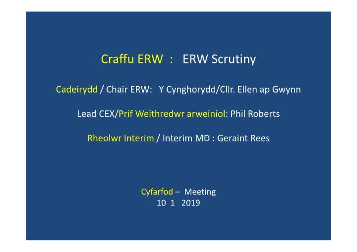 craffu erw erw scrutiny