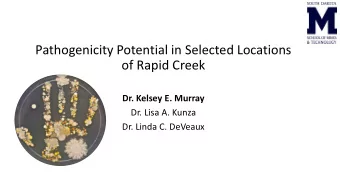Pathogenicity Potential in Selected Locations  of Rapid Creek  Dr. Kelsey E. Murray  Dr. Lisa A.