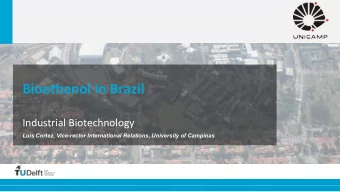 Bioethanol  in  Brazil      Industrial  Biotechnology    Luis Cortez, Vice-rector