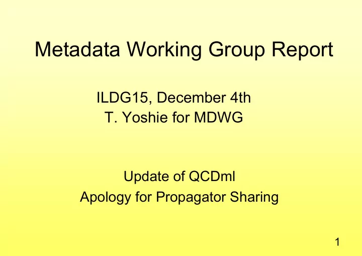 metadata working group report