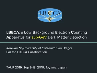 LBECA : a L ow B ackground E lectron C ounting A pparatus for sub-GeV Dark Matter Detection