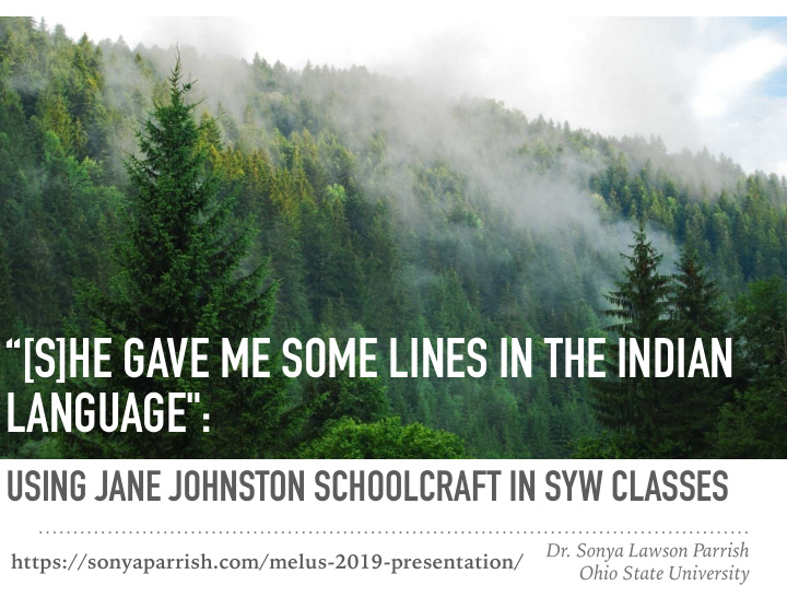 using jane johnston schoolcraft in syw classes