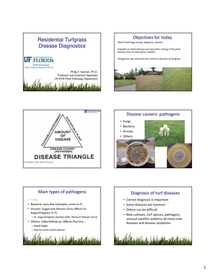 residential turfgrass