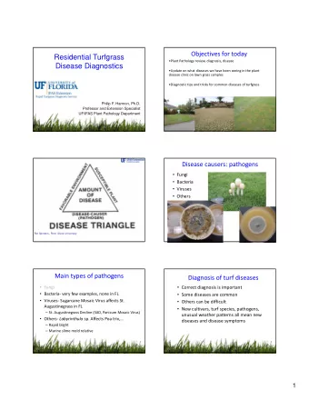 Residential Turfgrass Plant Pathology review, diagnosis, disease  Disease Diagnostics Update