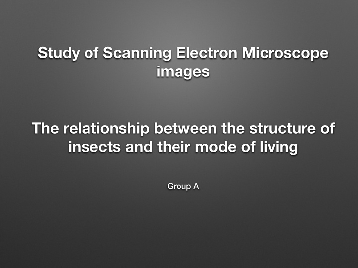 study of scanning electron microscope images the