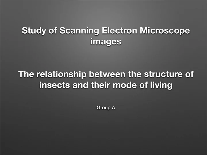 study of scanning electron microscope images the