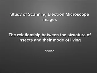 Study of Scanning Electron Microscope  images  The relationship between the structure of  insects