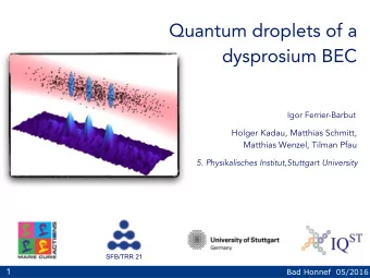 Quantum droplets of a  dysprosium BEC  Igor Ferrier-Barbut  Holger Kadau, Matthias Schmitt,