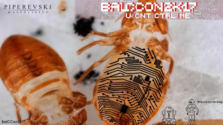 at balccon2k17 methodology for vulnerability