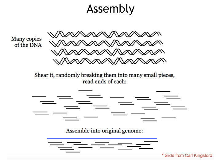 assembly assembly