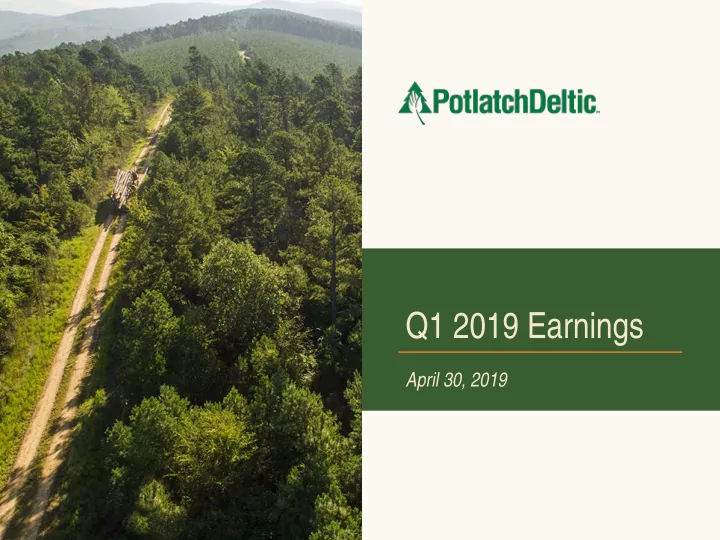 q1 2019 earnings