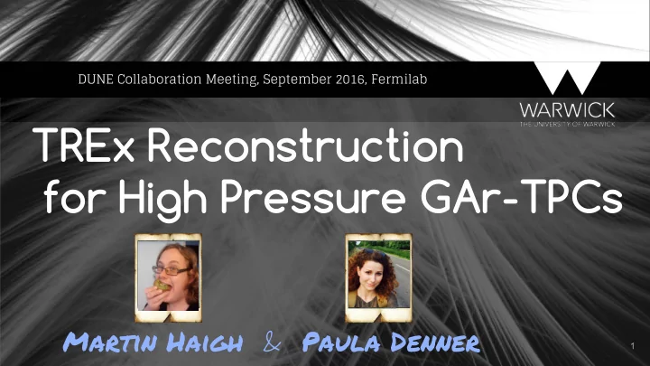 trex reconstruction for high pressure gar tpcs
