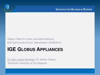 IGE G LOBUS A PPLIANCES  Dr. Ioan Lucian Muntean, Dr. Adrian Colesa  Technical University of